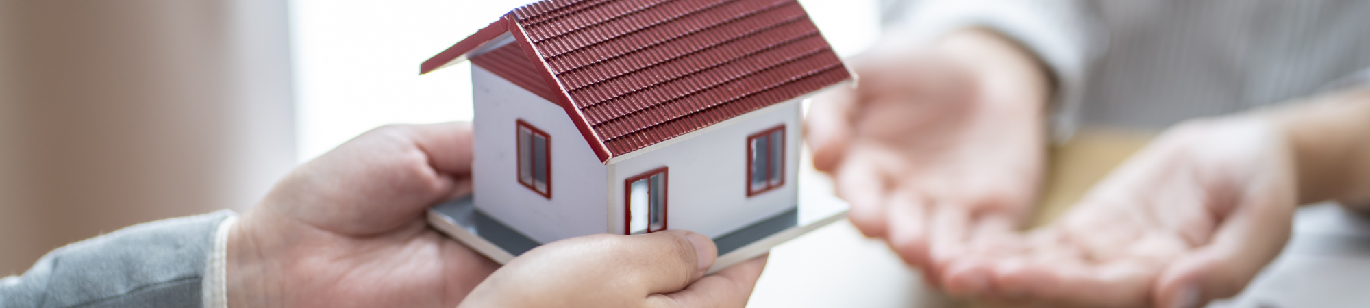 Díganos lo que busca en Badajoz y lo encontraremos. Api Navarro, S.L. en Badajoz Díganos lo que busca en Badajoz y lo encontraremos. Api Navarro, S.L. en Badajoz